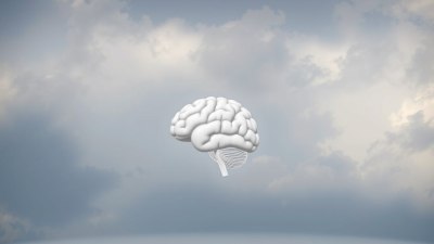Защо мозъкът Ви има любимо време и го знае