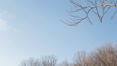 Защо хладните полъхи са начинът на природата да Ви подтикне към размисъл