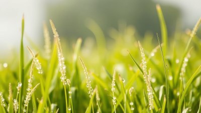 Защо точката на оросяване е най-точната мярка за комфорт
