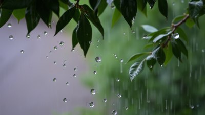 Как лекият дъжд ни учи на търпение и присъствие