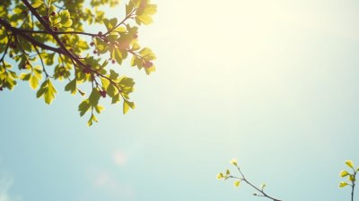 Как ясният ден улеснява общуването