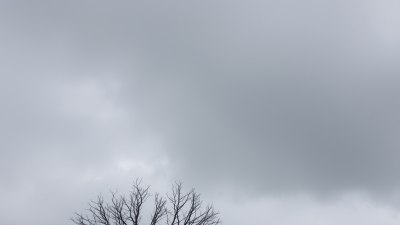 Защо някои хора разцъфтяват в тишината на облачното време