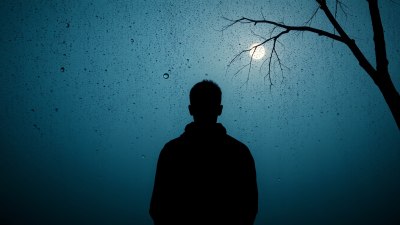 Какво крои влагата в сенките