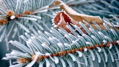 Някои хора се носят като ходещи студени фронтове