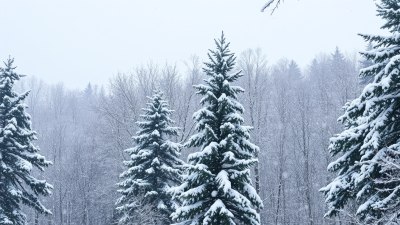 Защо някои настроения идват от нищото - като снежна буря от езерото