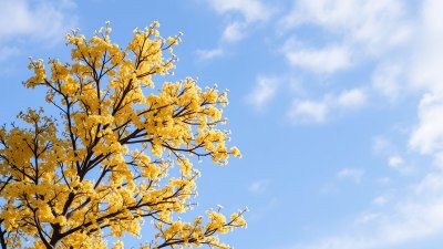 Как сезонните промени разклащат човешките отношения