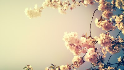 Ако някой ви се струва като „фалшива пролет“ - повярвайте му