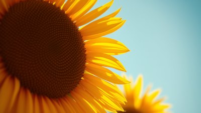 Изкуството да бъдете нечий неочакван слънчев ден