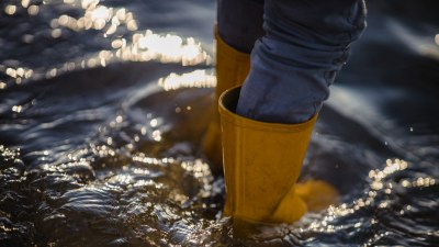 Стойте далеч от хора, които идват като порой от внимание