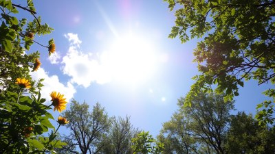 Слънчевите дни са онзи приятел, който се усмихва дори сред пълен хаос