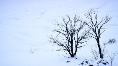 Студените фронтове са гостите на метеорологичния свят