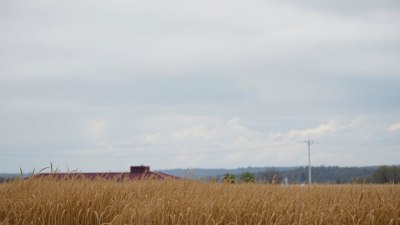 Онзи път, когато вятърът беше офисната клюкарка