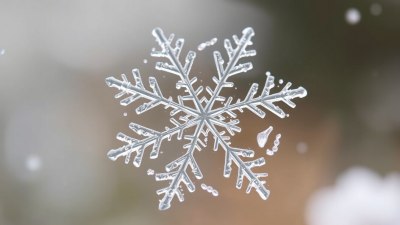 Снежинките са хипстърите на валежите