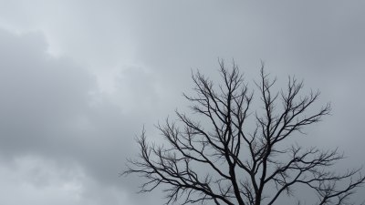 Облачното време е бавната, красива любовна история на природата