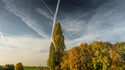 Перфектните 22 градуса са хората, които всички харесват