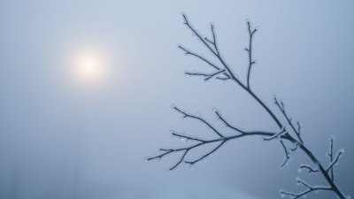 Как леденият мъглив въздух създава едновременно напрежение и наука