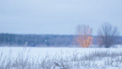 Защо съществува усещането за „вятър и студ“ и какво всъщност измерва