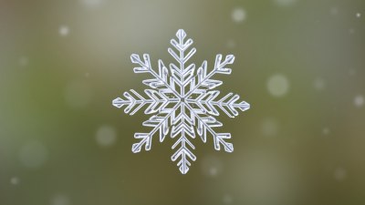 Как една-единствена снежинка може да отмени всички планове