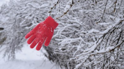 Животът на една ръкавица: купена, изгубена, намерена, пак изгубена
