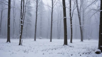 Защо някои снеговалежи са напълно безшумни