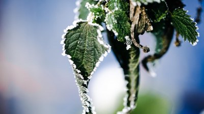 Науката зад замръзващия дъжд