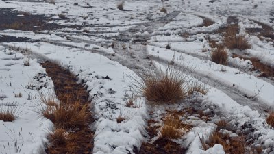 Какво причинява бързото топене на снега през първите месеци