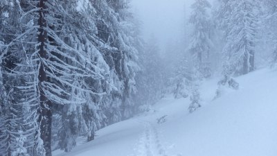 Как се образуват виелици и защо могат да се случат внезапно