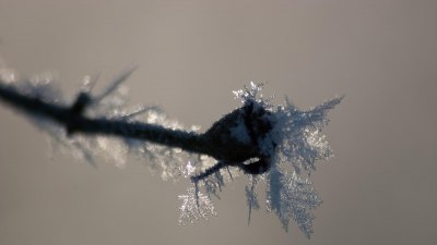 Защо някои снежинки изглеждат като игли, а не като звезди